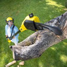 Best Aeration Services  in Bolinas, CA